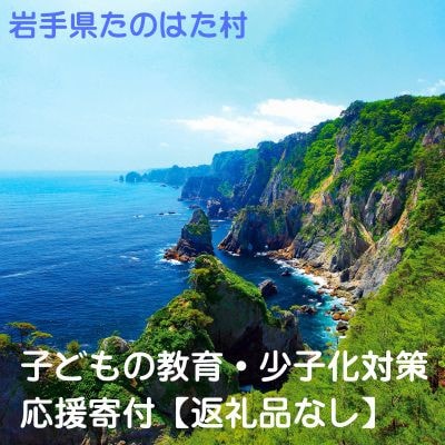 【返礼品なし】岩手県田野畑村　子どもの教育および少子化対策に関する事業　応援寄付