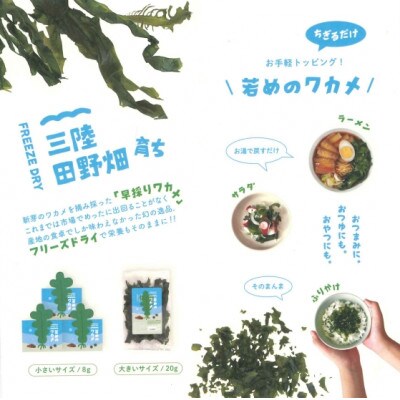 若めのワカメ(フリーズドライ)20g　1袋