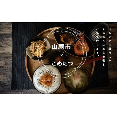 【食味ランキング特A獲得】令和3年産 熊本県産 ヒノヒカリ 無洗米20kg(5kg×4袋)
