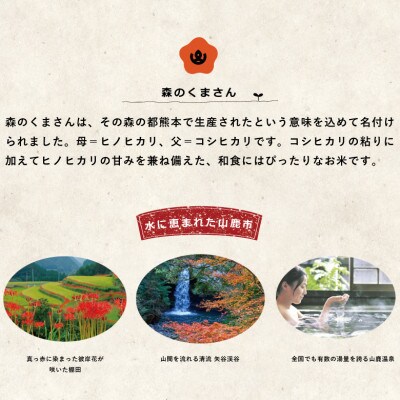 【令和4年産】熊本県産森のくまさん 白米12kg(6kg×2袋)