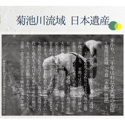 【食べ比べセット】4年産 ヒノヒカリ 森のくまさん 白米 各6kg 計12kg 熊本県産