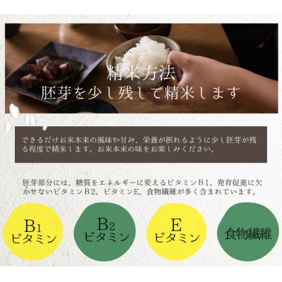 【食べ比べセット】4年産 ヒノヒカリ 森のくまさん 白米 各6kg 計12kg 熊本県産