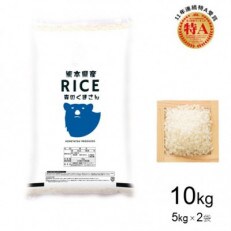 【令和5年産】【食味ランキング特A獲得】森のくまさん 白米 10kg(5kg×2袋)熊本県産