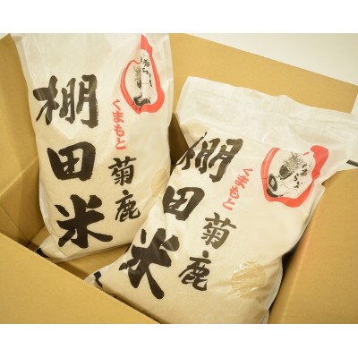 山鹿市菊鹿棚田米10kg(5kg×2袋)