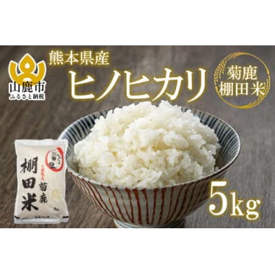 山鹿市菊鹿棚田米5kg(5kg×1袋)