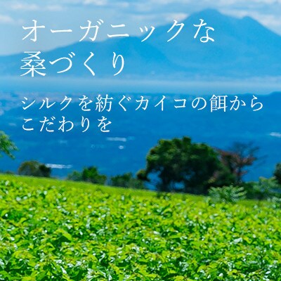 COKON LAB ハンド&ボディローション セット　480ml × 2本