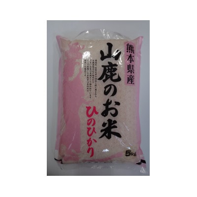 令和7年産先行予約　　　　　　　　　　　　山鹿のお米ひのひかり5kg×2
