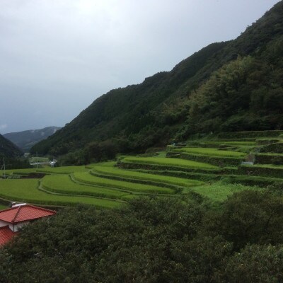 令和4年産菊鹿の米アイガモ農法米 白米2kg×2