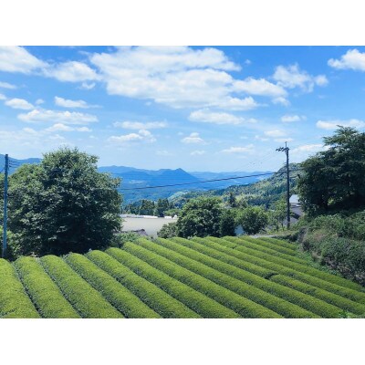 茶葉『山鹿市名産 岳間茶』4種飲み比べセット