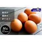 【毎月定期便】赤たまごM玉40個(37個+割れ保障3個)全6回