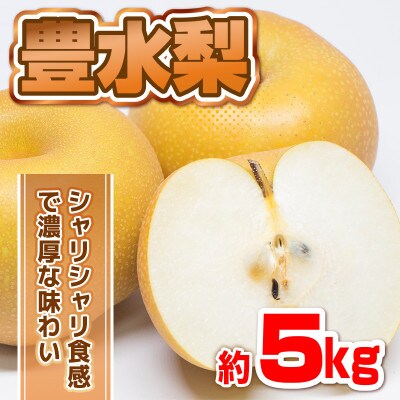 豊水梨　約5kg(10玉～20玉)(山鹿市)