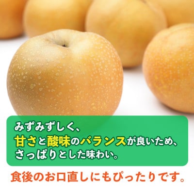 豊水梨　約5kg(10玉～20玉)(山鹿市)