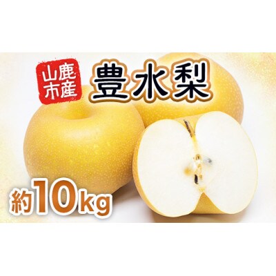 豊水梨 約10kg(12玉~40玉)(山鹿市)