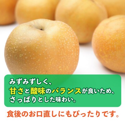 豊水梨　約10kg(20玉～40玉)(山鹿市)