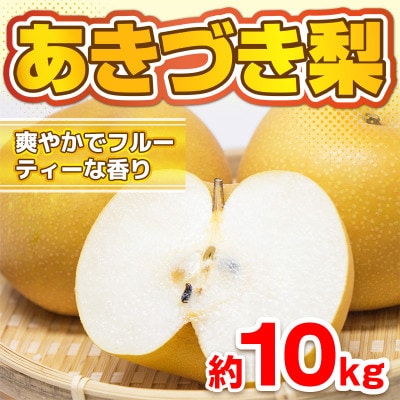 秋月梨　約10kg(18玉～36玉)(山鹿市)