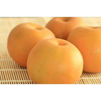 秋月梨 約10kg(12玉~40玉)(山鹿市)