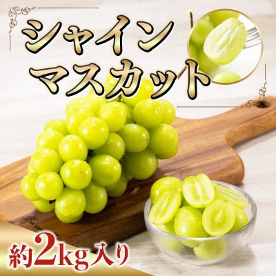 山鹿産 訳ありシャインマスカット　約2kg入り