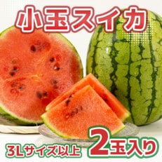 小玉スイカ(3Lサイズ以上2玉入り)(山鹿市)