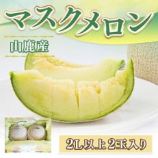 マスクメロン(2L以上2玉入り)(山鹿市)