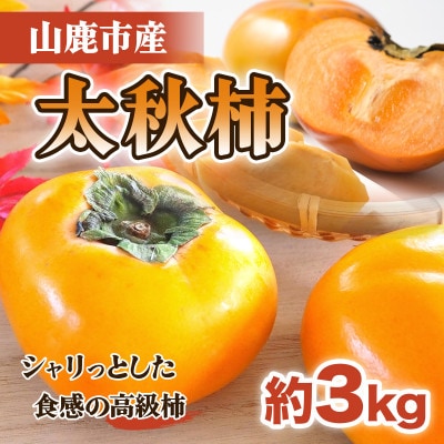 山鹿産　太秋柿　約3kg(山鹿市)