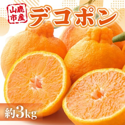 山鹿市産 デコポン約3kg