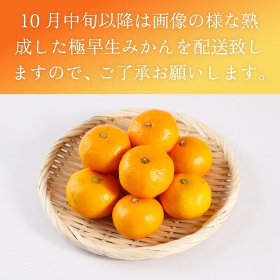 山鹿市産　極早生みかん 約2.5kg