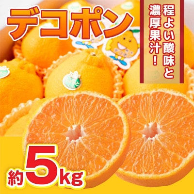 【2025年2月下旬より順次発送】熊本県産 デコポン 約5kg (山鹿市)