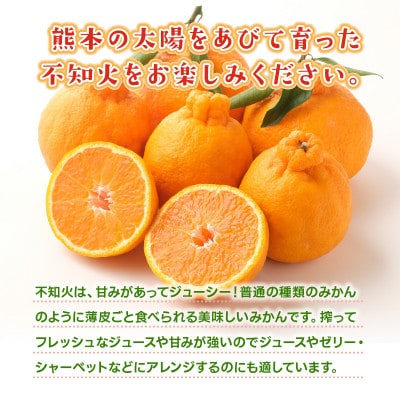 【2026年2月下旬より順次発送】熊本県産 デコポン 約3kg (山鹿市)