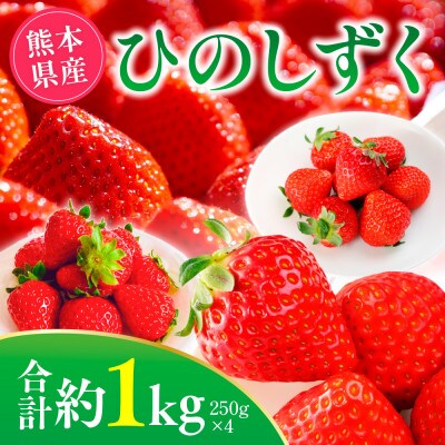 【2025年2月上旬より順次発送】熊本県産 ひのしずく 約1kg (山鹿市)
