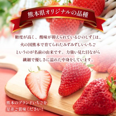【2025年2月上旬より順次発送】熊本県産 ひのしずく 約1kg (山鹿市)