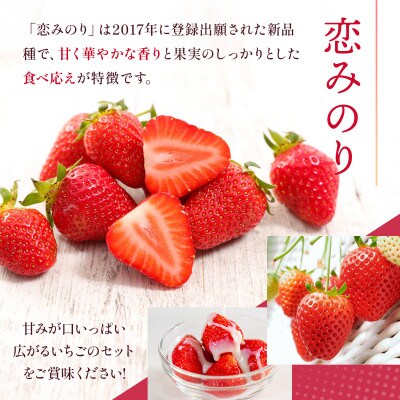 【2027年2月上旬より順次発送】熊本県産 恋みのり 約1kg(山鹿市)