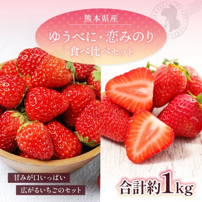 【2025年2月上旬より順次発送】熊本県産 ゆうべに・恋みのり食べ比べセット　合計約1kg(山鹿市)