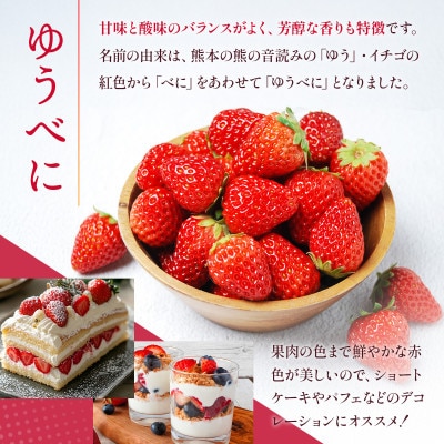 【2025年2月上旬より順次発送】熊本県産 ゆうべに・恋みのり食べ比べセット　合計約1kg(山鹿市)