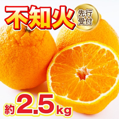 熊本県産 不知火 約2.5kg (山鹿市)