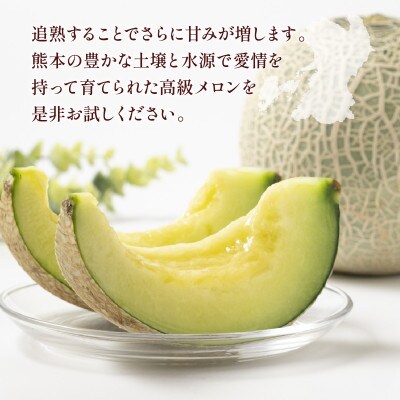 熊本産 肥後グリーン メロン1玉 約1.3kg(山鹿市)