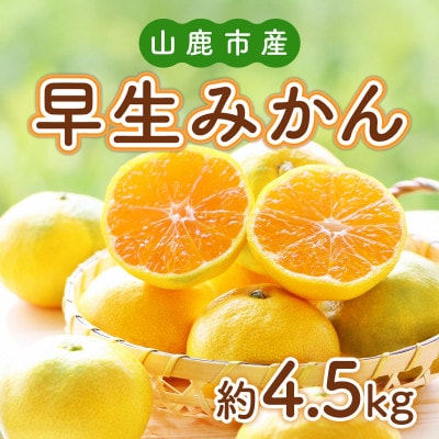早生みかん 約4.5kg(山鹿市)