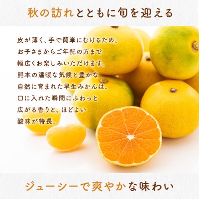 早生みかん 約4.5kg(山鹿市)