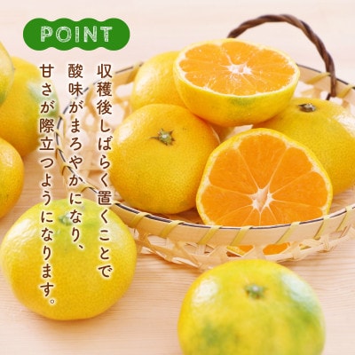 早生みかん 約4.5kg(山鹿市)