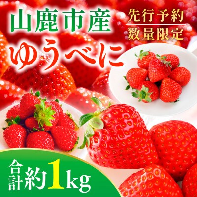 ゆうべにいちご 約1kg(山鹿市)