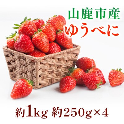 ゆうべにいちご 約1kg(山鹿市)
