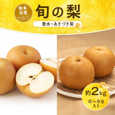 旬の梨(豊水またはあきづき梨) 約2kg (山鹿市)