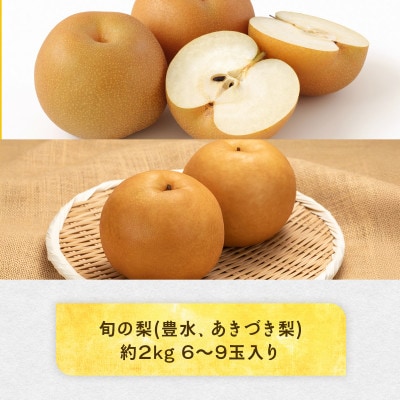 旬の梨(豊水またはあきづき梨) 約2kg (山鹿市)