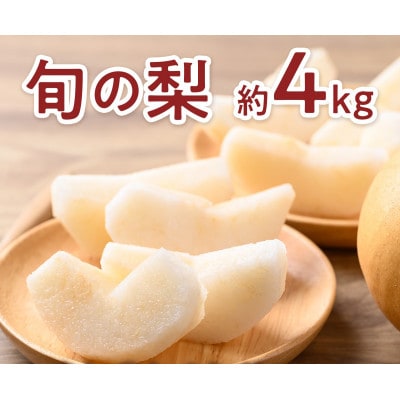 旬の梨(豊水またはあきづき梨) 約4kg (山鹿市)