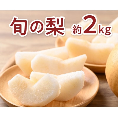 旬の梨(あきづき梨または新高梨) 約2kg (山鹿市)