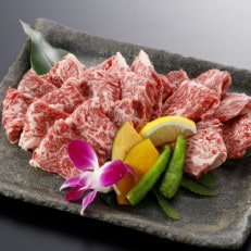 A5ランク　くまもと黒毛和牛　焼肉用400g(山鹿市)