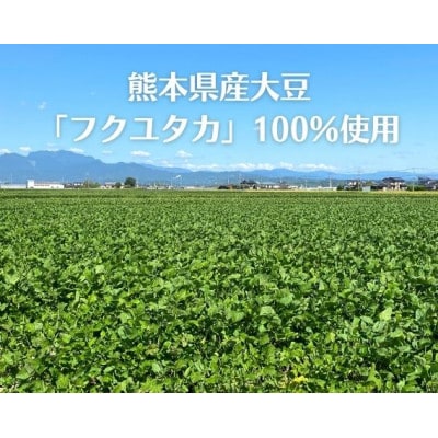 『ご汁の素』10袋セット【熊本県産大豆使用】