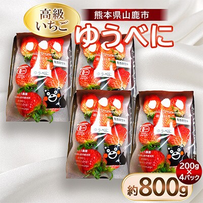 【JAS有機認証】 高級いちご ゆうべに約800g(約200g×4pc)