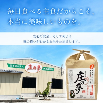 熊本県産 「庄の夢」 5kg  森のくまさん