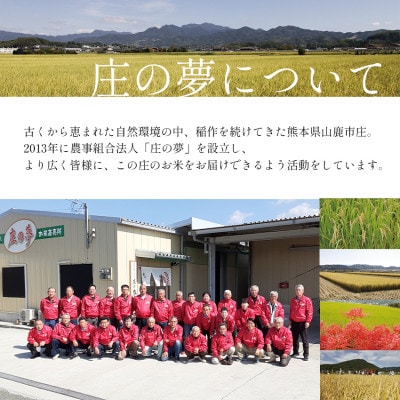 熊本県産 「庄の夢」 5kg 玄米 森のくまさん
