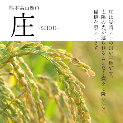 熊本県産 「庄の夢」 10kg (5kg×2) 玄米 森のくまさん